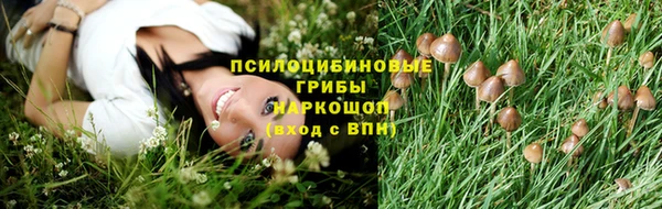 марки nbome Алексеевка