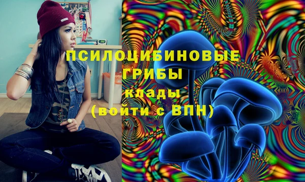 марки nbome Алексеевка