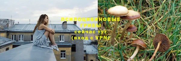 каннабис Абинск