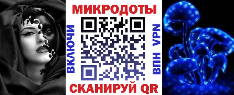 omg как войти  Шадринск  Псилоцибиновые грибы Psilocybine cubensis 