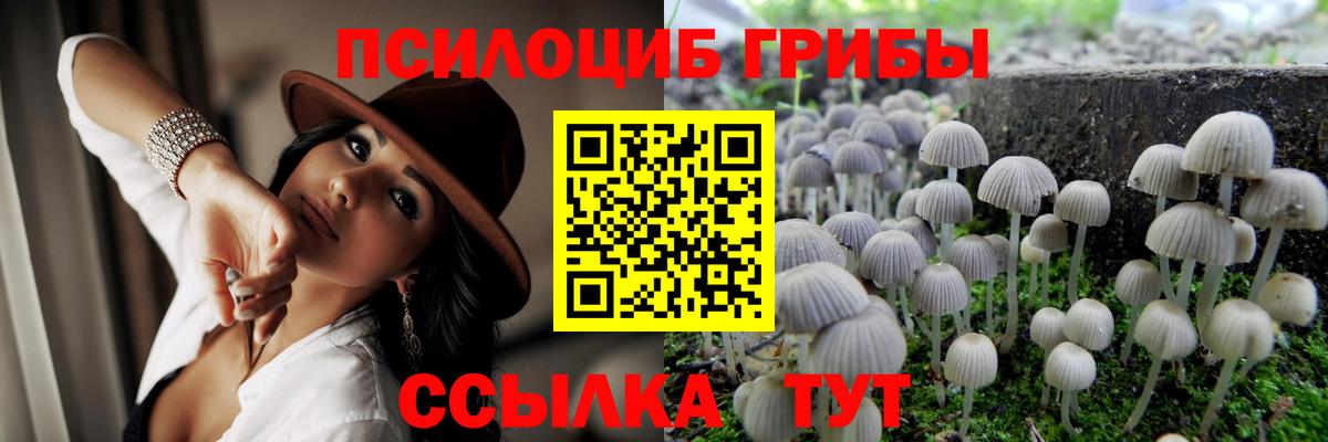 Псилоцибиновые грибы GOLDEN TEACHER Шадринск